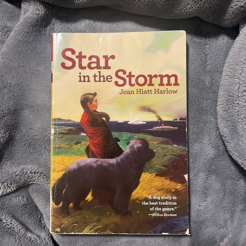 Star in the Storm