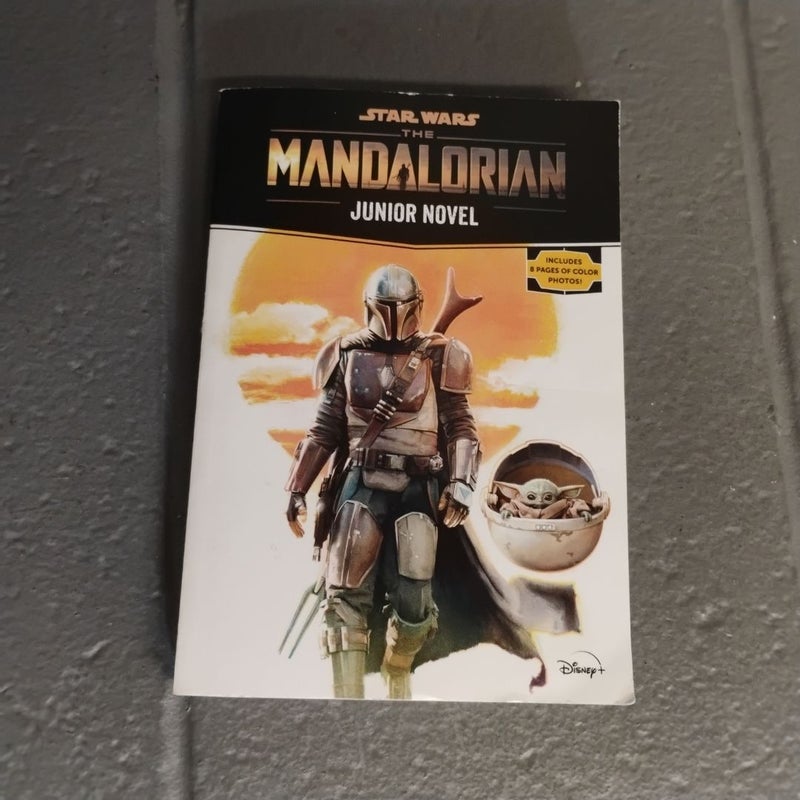 Star Wars: the Mandalorian Junior Novel