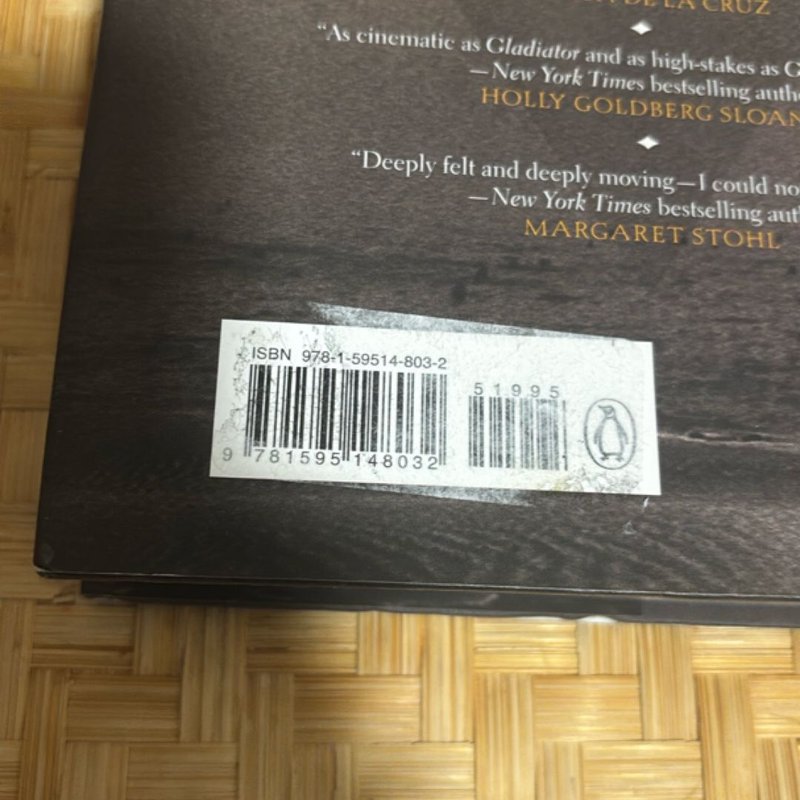 An Ember in the Ashes