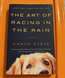 The Art of Racing in the Rain