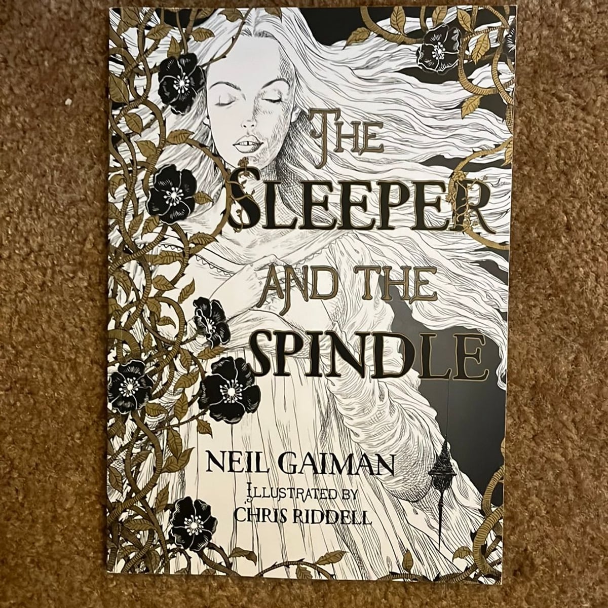 The Sleeper and the Spindle by Neil Gaiman