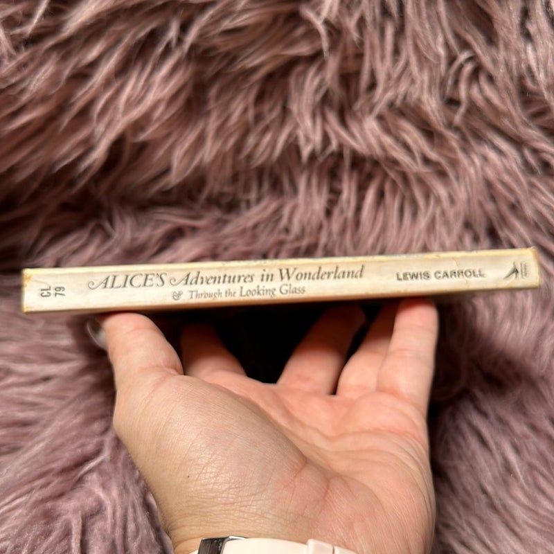 The Annotated Alice
