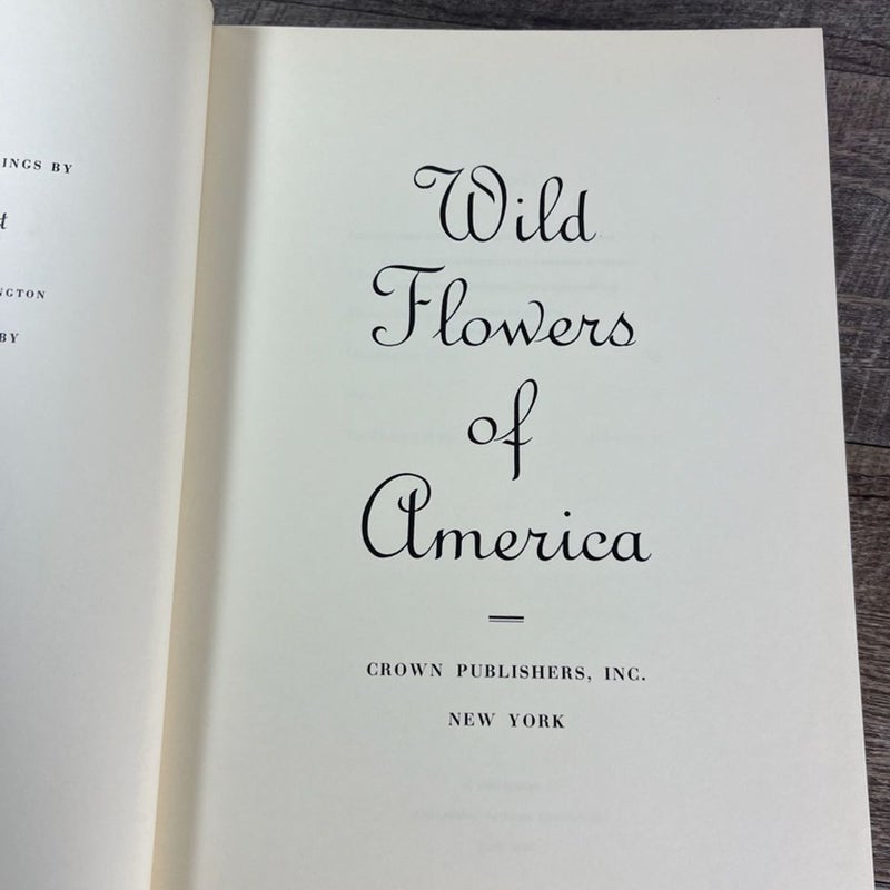 Wild Flowers of America