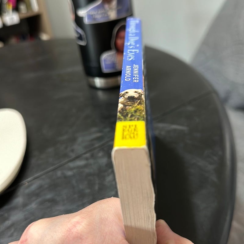 (First Edition) Through a Dog's Eyes