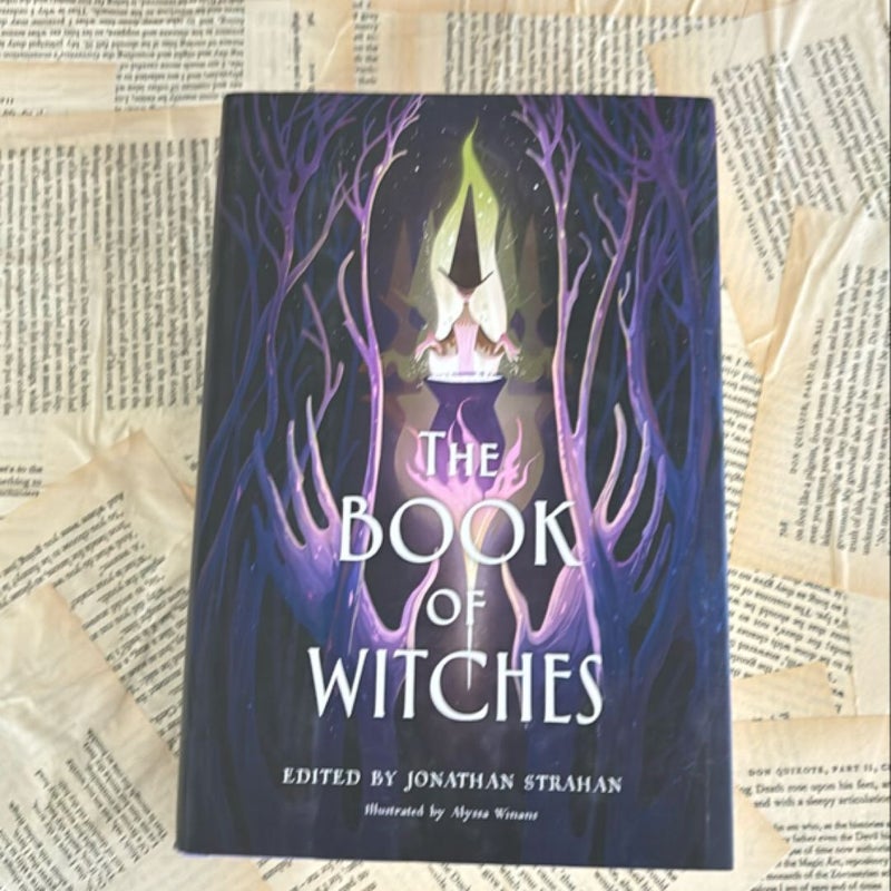 The Book of Witches