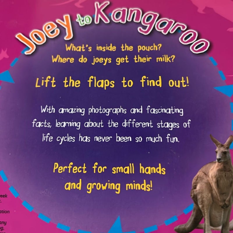 Joey to kangaroo