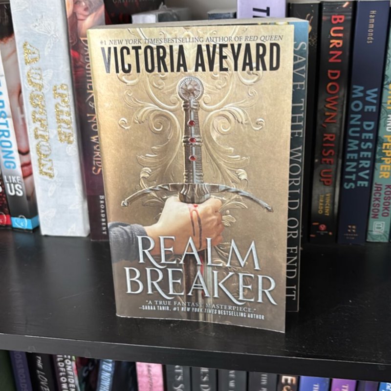 Realm Breaker