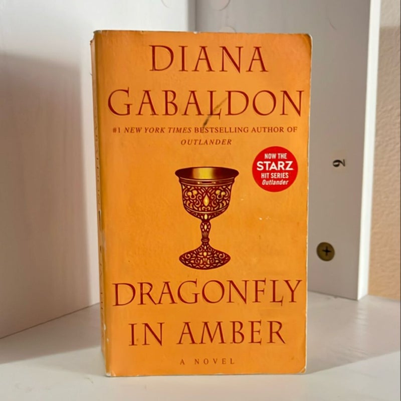 Dragonfly in Amber