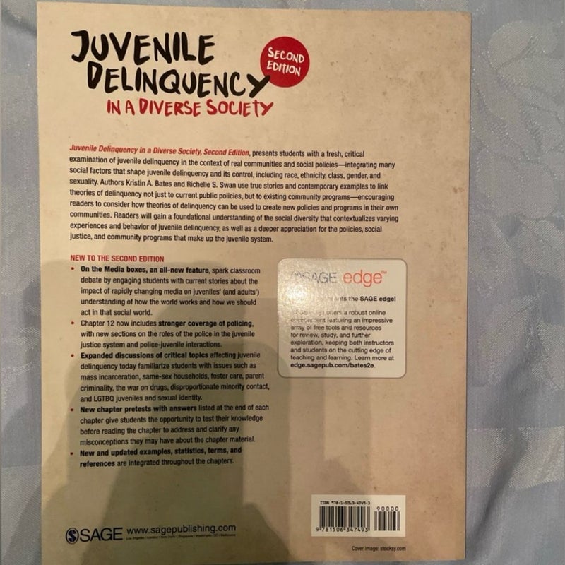 Juvenile Delinquency in a Diverse Society