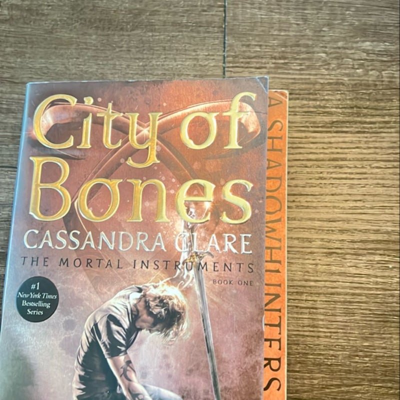 City of Bones