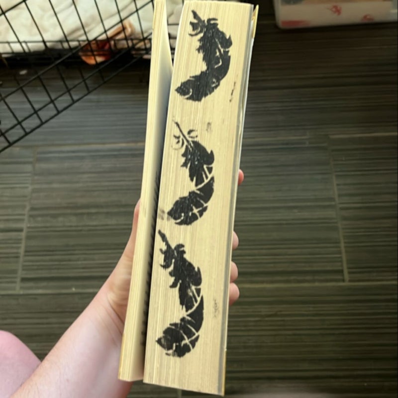 A Feather So Black