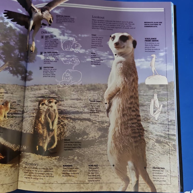 Photo Reference Guide ANIMALS - A Comprehensive Guide to the Animal Kingdom