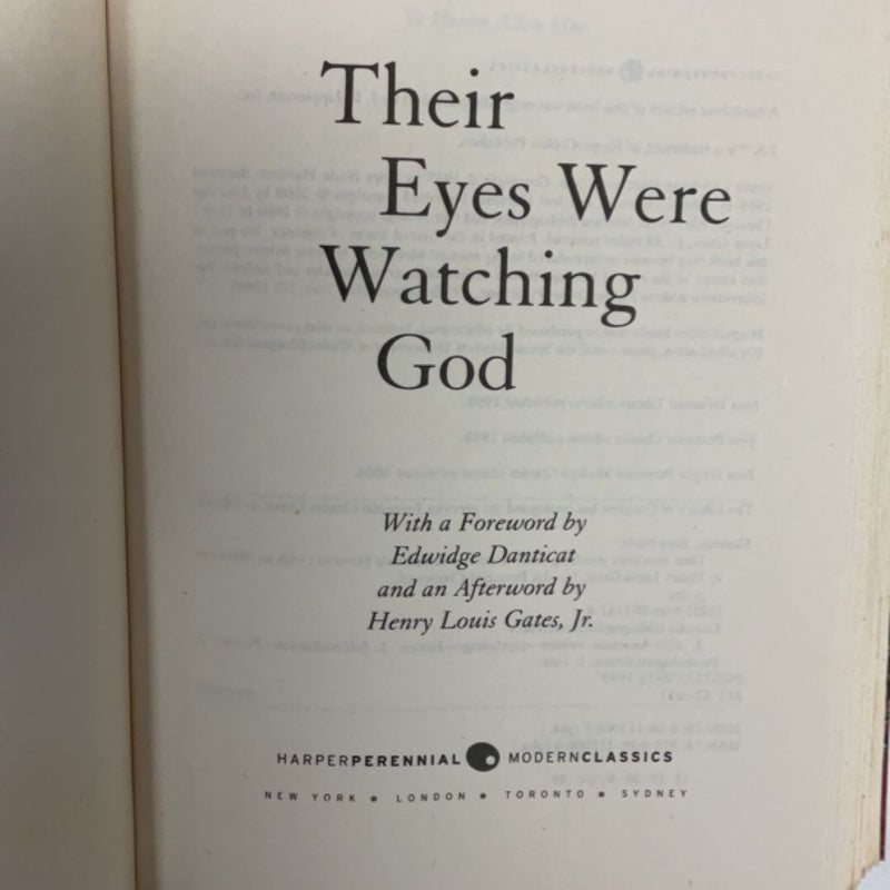Their Eyes Were Watching God