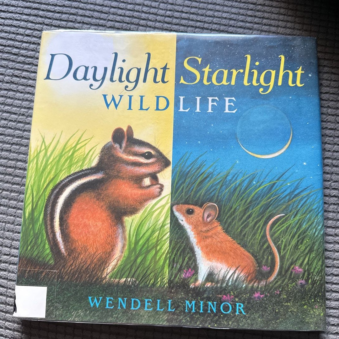 Daylight Starlight Wildlife