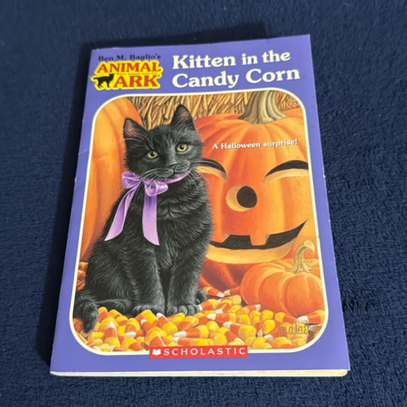 Kitten in the Candycorn