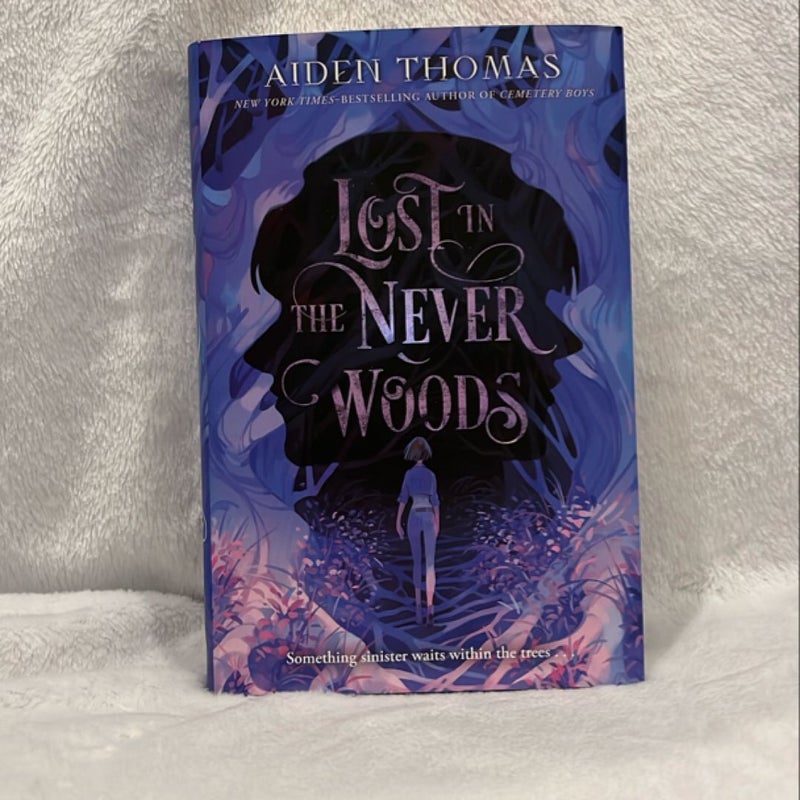 Lost in the Never Woods