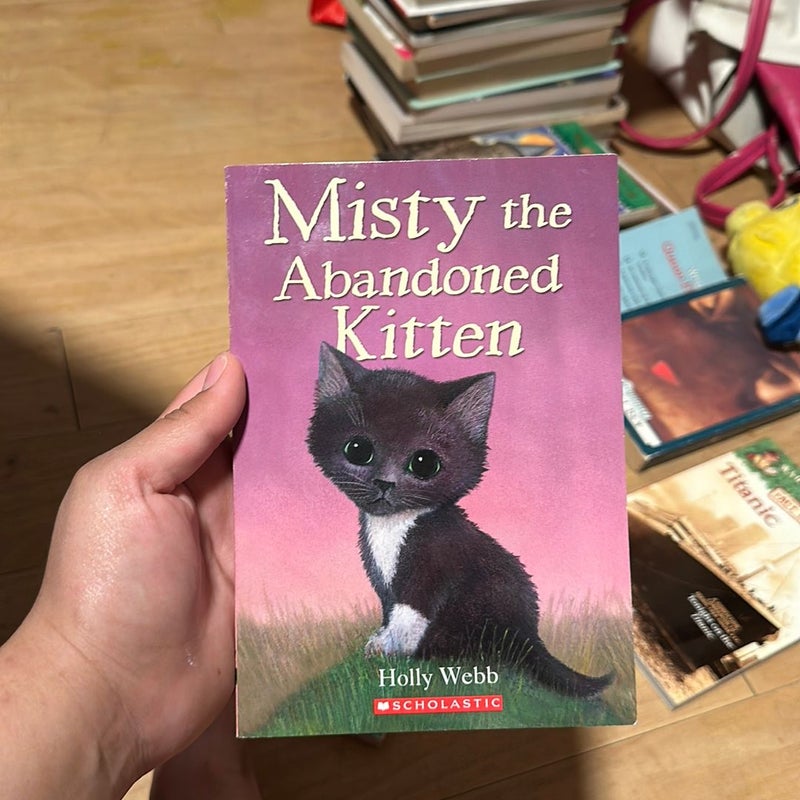 Misty the Abandoned Kitten 