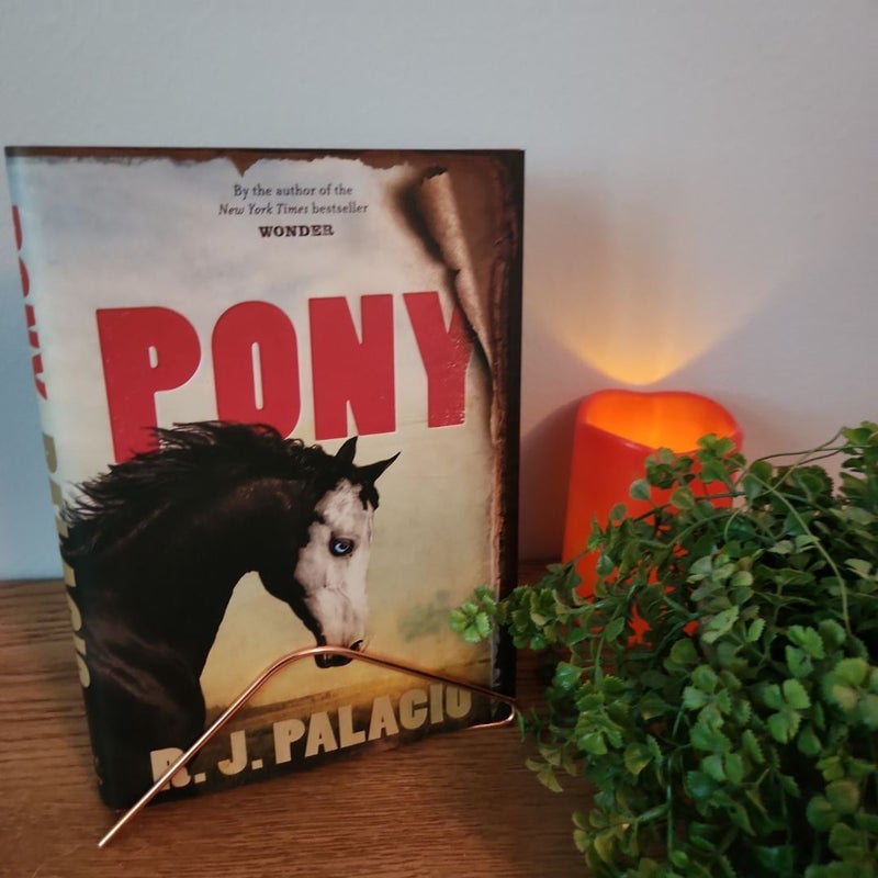 Pony