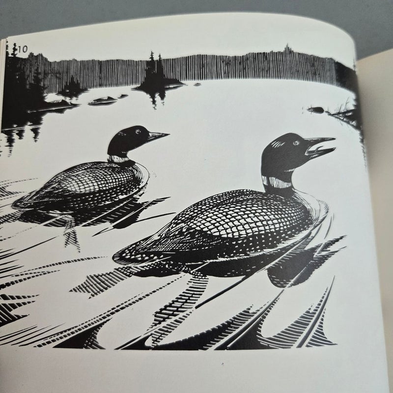 Loon