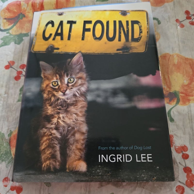 Cat Found