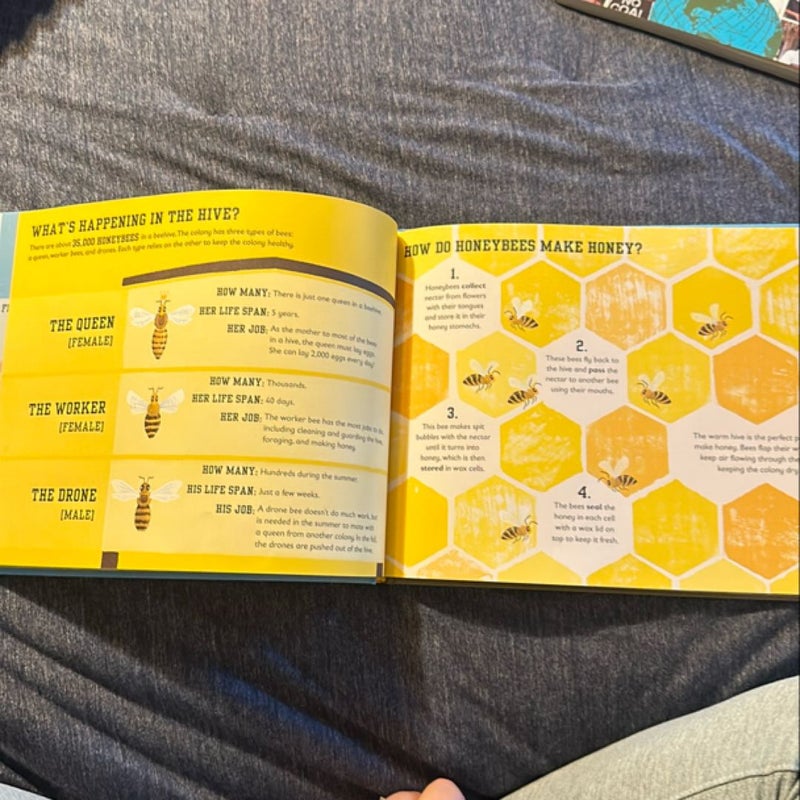 The Bee Book