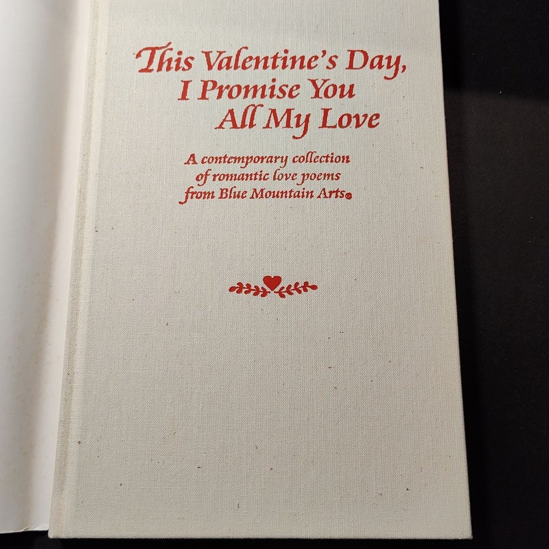 This Valentine's Day, I Promise You All My Love