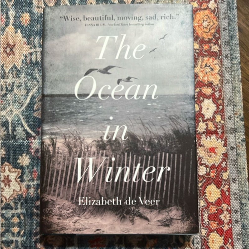 The Ocean in Winter