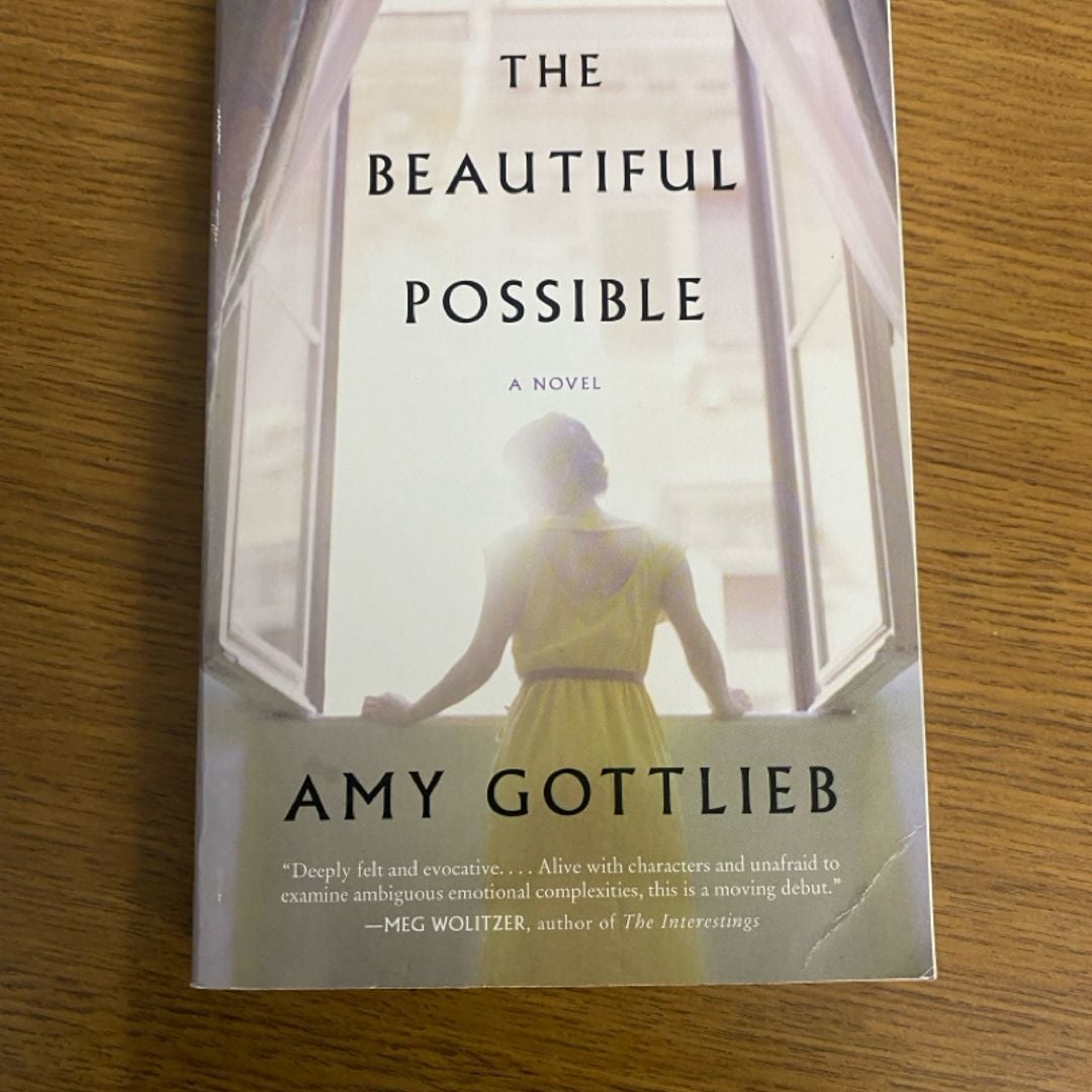 The Beautiful Possible by Amy Gottlieb, Paperback | Pangobooks