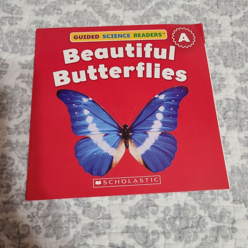 Beautiful Butterflies 