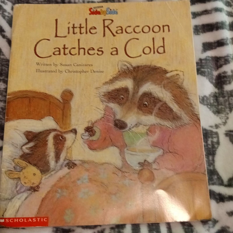 Little Raccoon Catches a Cold