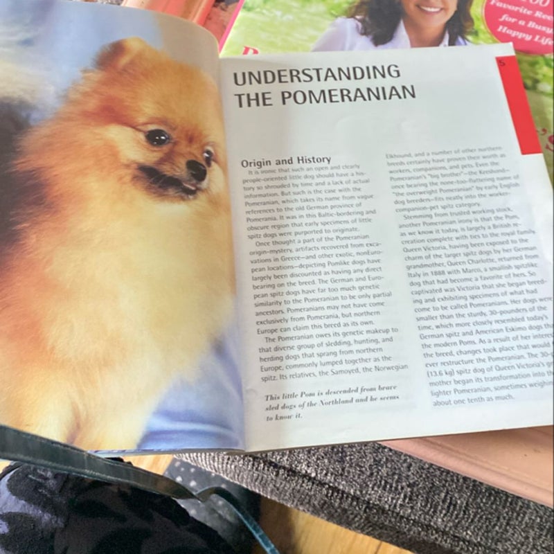 Pomeranians