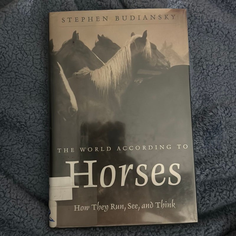 The World According to Horses