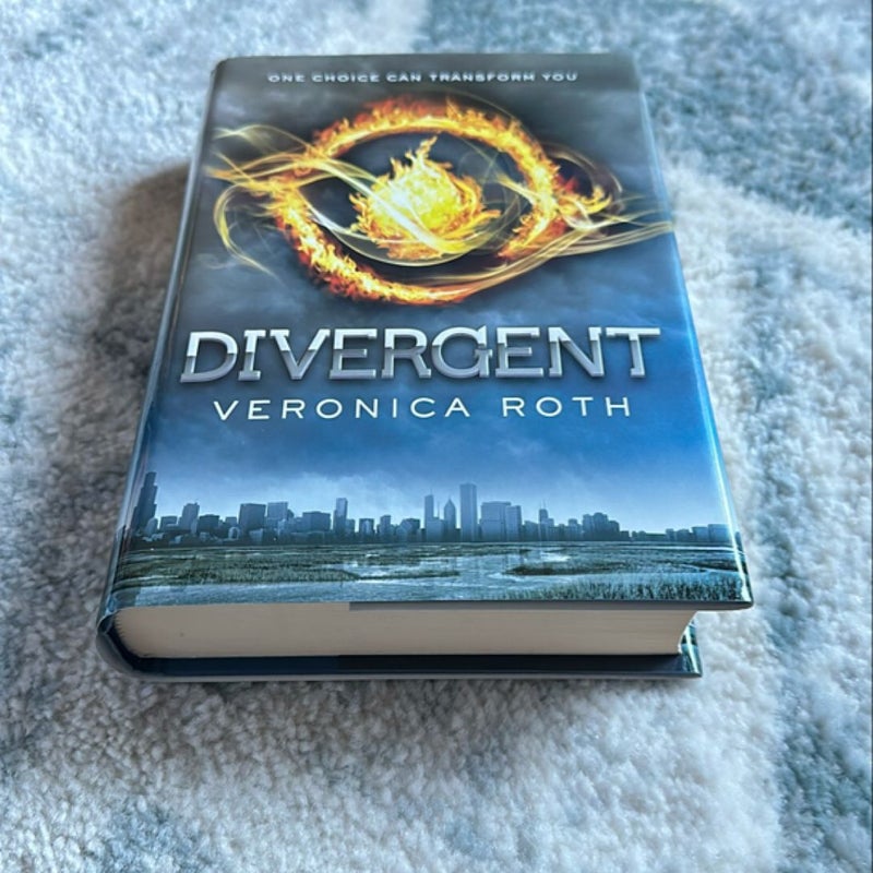 Divergent Series