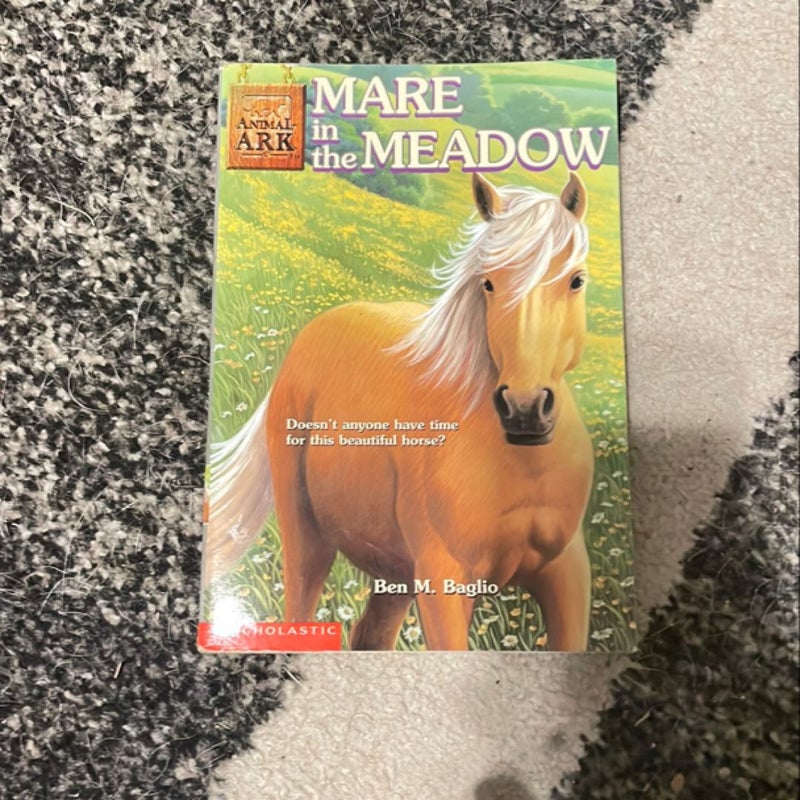 Mare in the Meadow