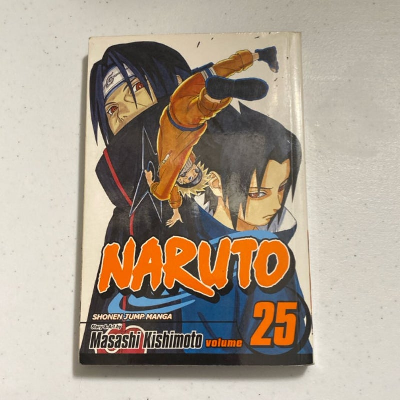 Naruto, Vol. 25
