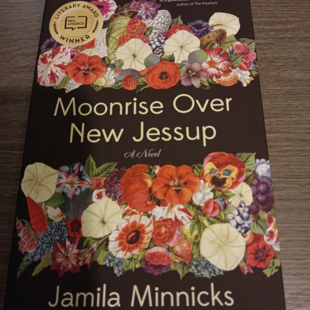 Moonrise over New Jessup