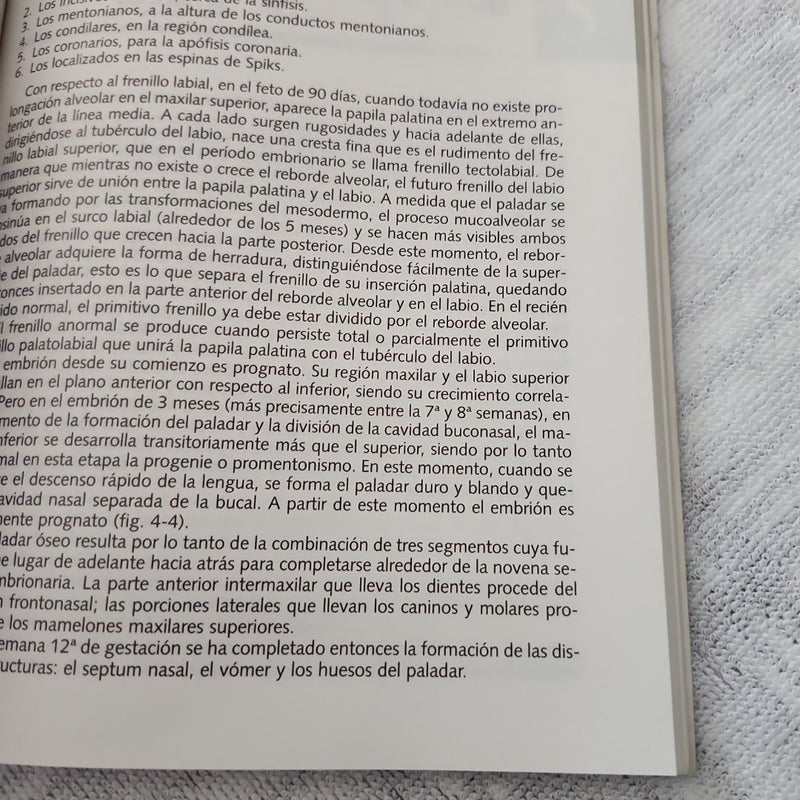 Enfoque Integral Del Niño con Fisura Labiopalatina