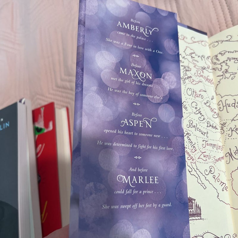 Happily Ever after: Companion to the Selection Series