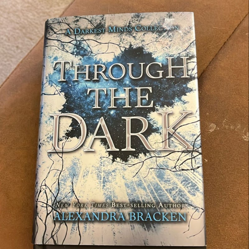 Through the Dark (a Darkest Minds Collection)