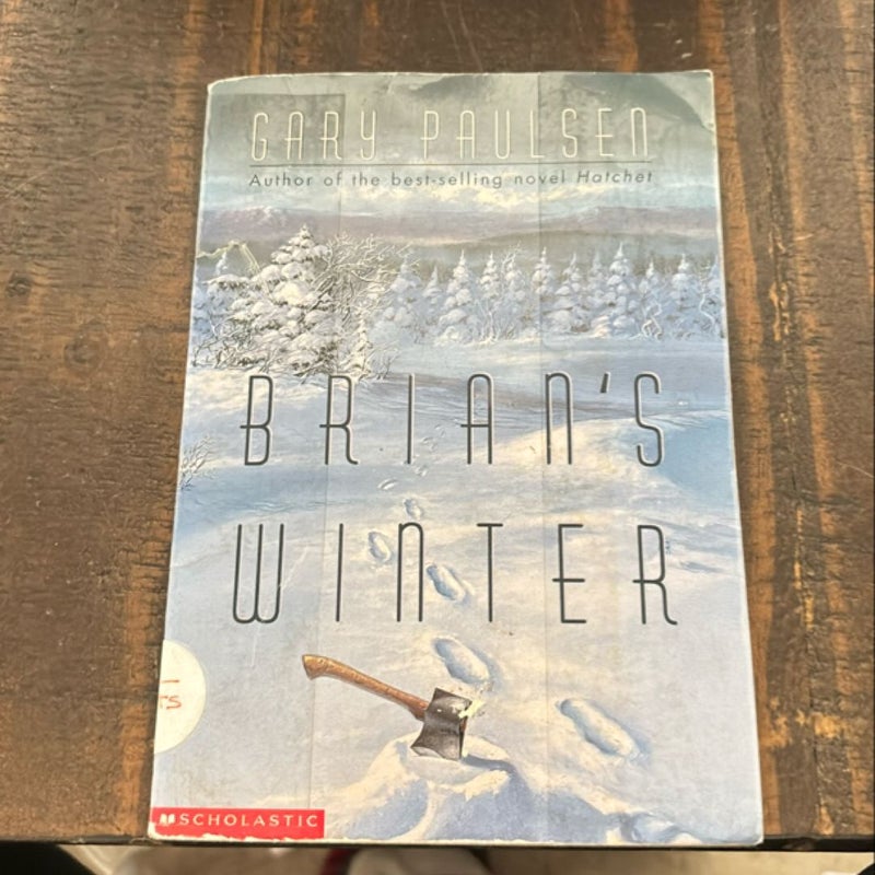 Brian's Winter