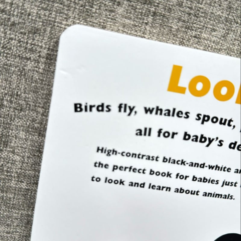 Look at the Animals! (Board Book)