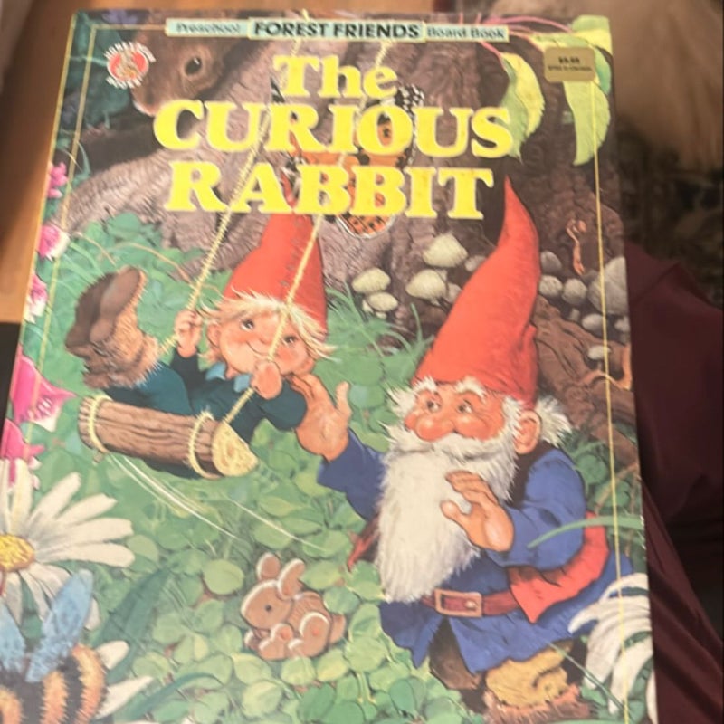 The Curious Rabbit