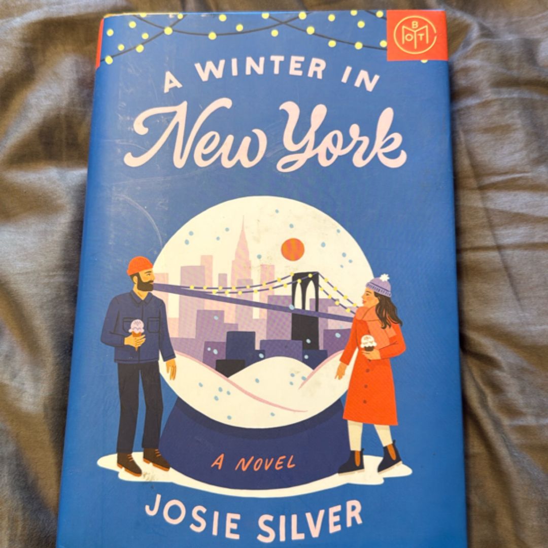 A Winter in New York