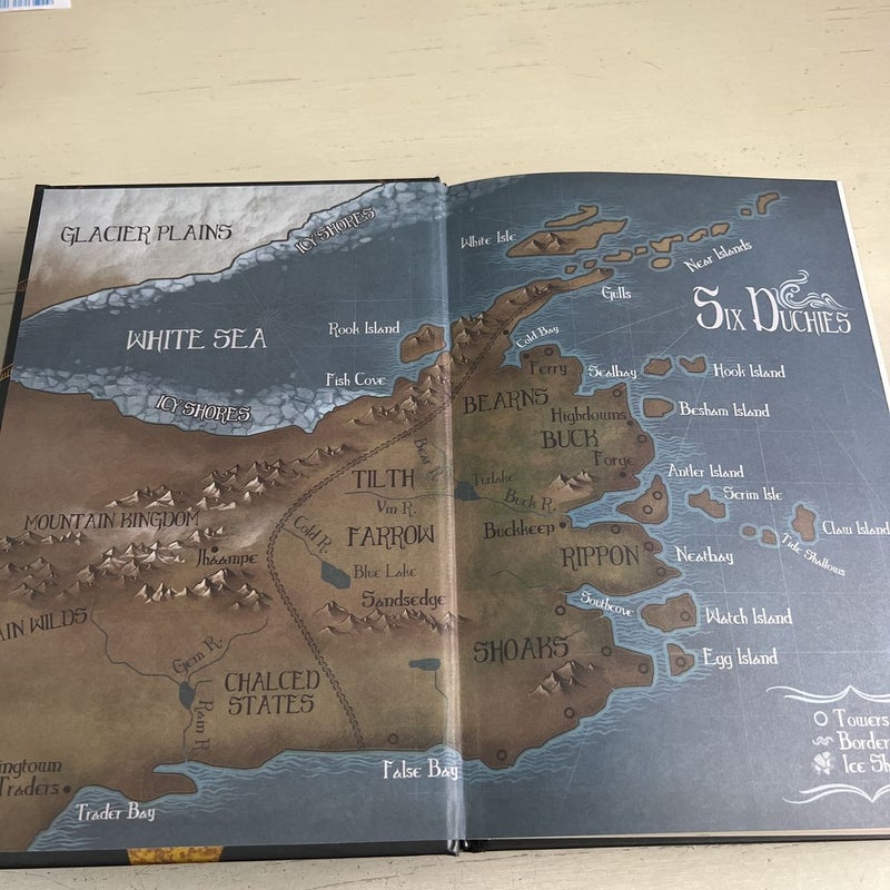 Assassin's Apprentice (the Illustrated Edition)