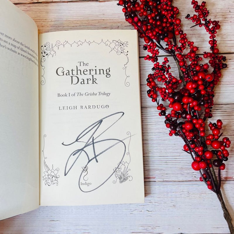 RARE Signed The Gathering Dark Leigh Bardugo Shadow and Bone 