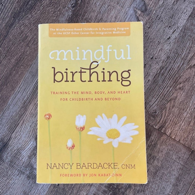 Mindful Birthing