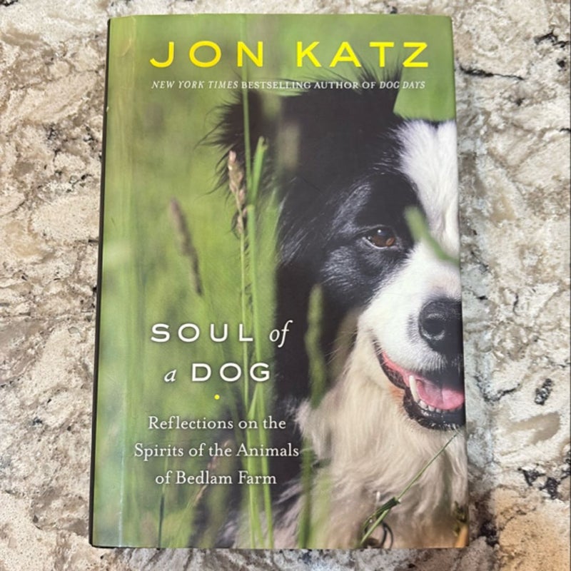 Soul of a Dog