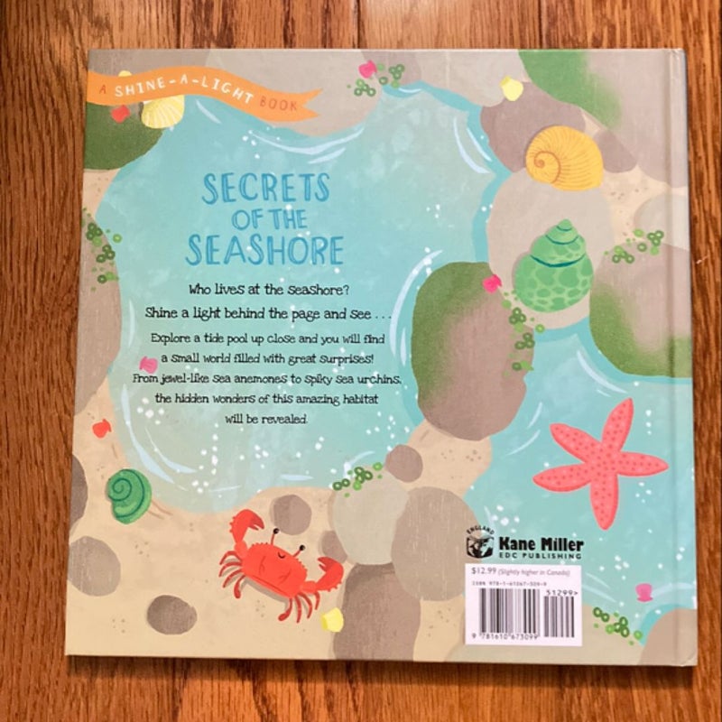 Secrets of the Seashore