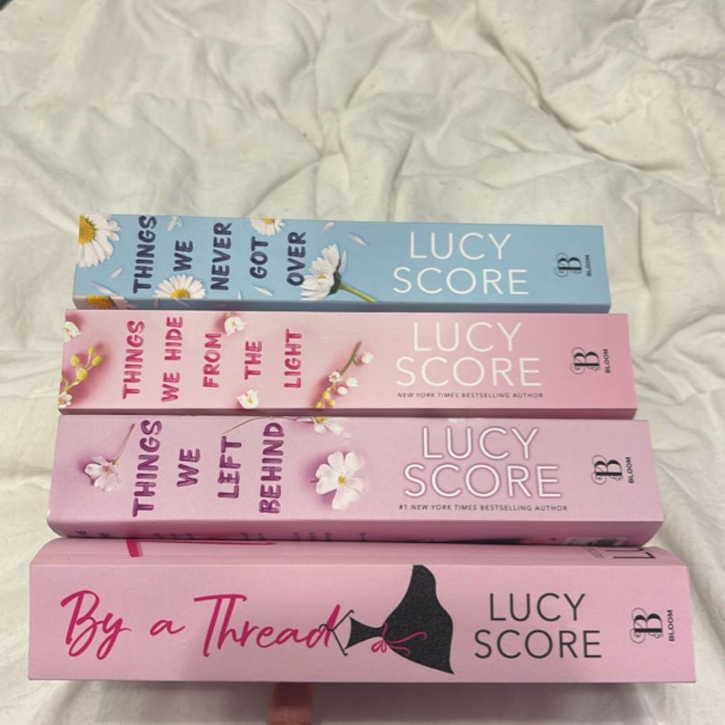 Things We Never Got Over (series +1)