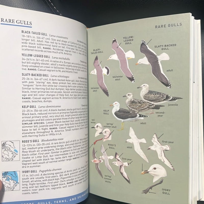 Peterson Field Guide to Birds of Eastern and Central North America, Seventh Ed